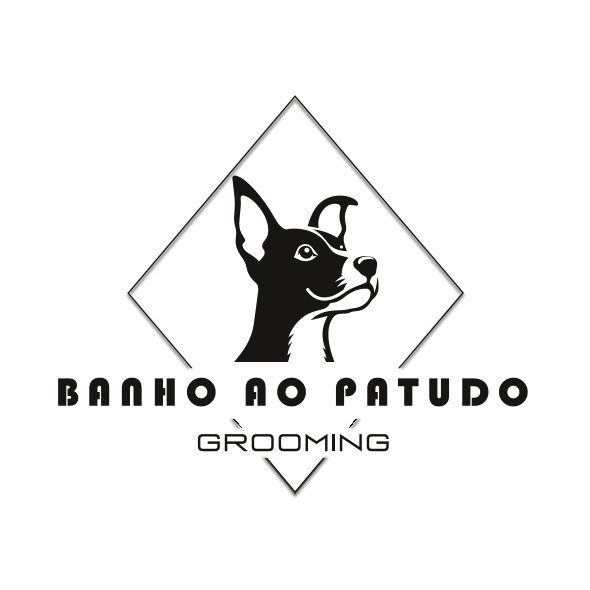 Início